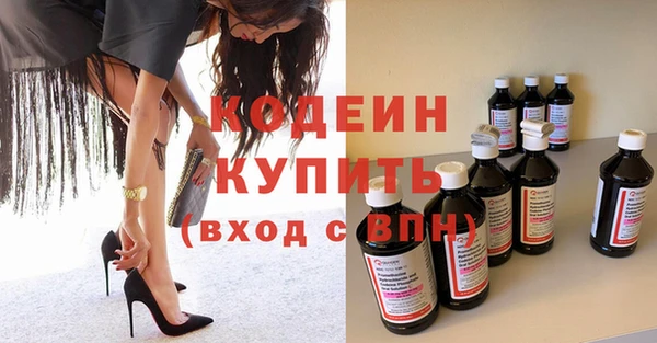 крисы Сатка