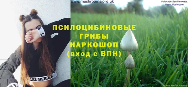 spice Остров