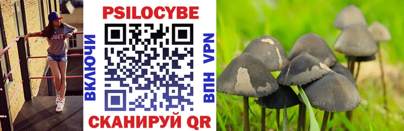 Галлюциногенные грибы MAGIC MUSHROOMS  Покачи 