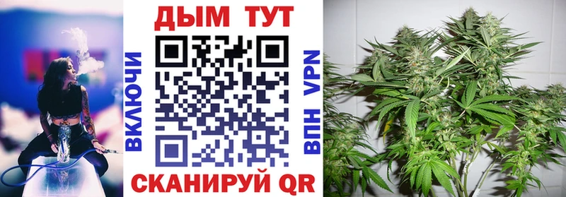 Конопля планчик  купить  сайты  Покачи 